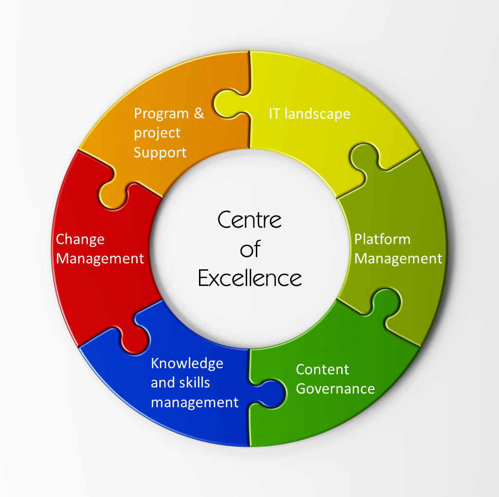 BPM Center Of Excellence CoE The Process Balance